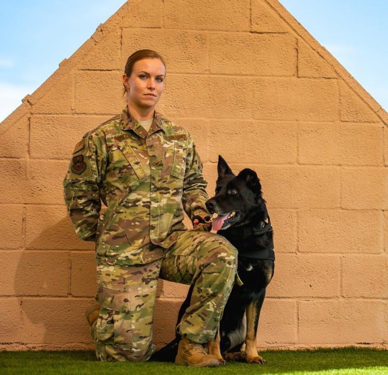 Dog and handler