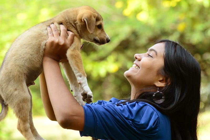 puppy adoption