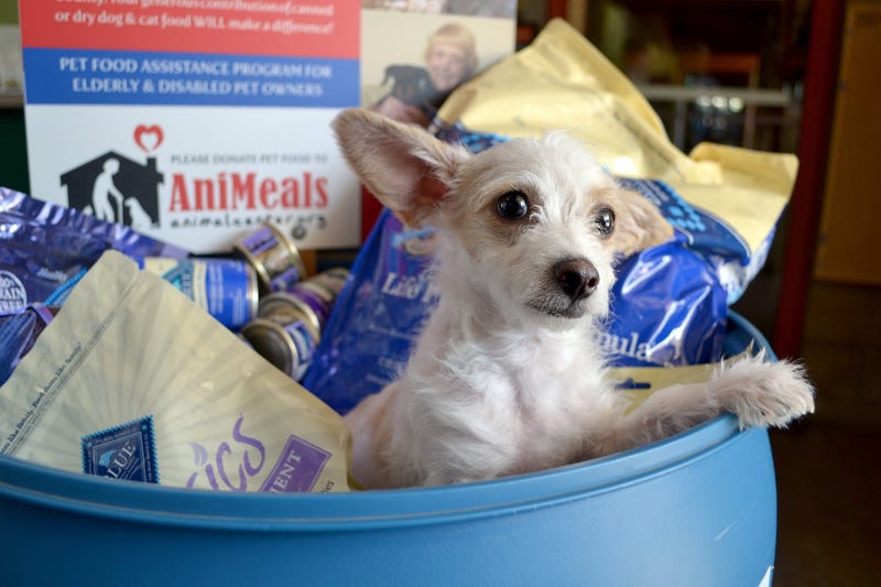 AniMeals Food Drive