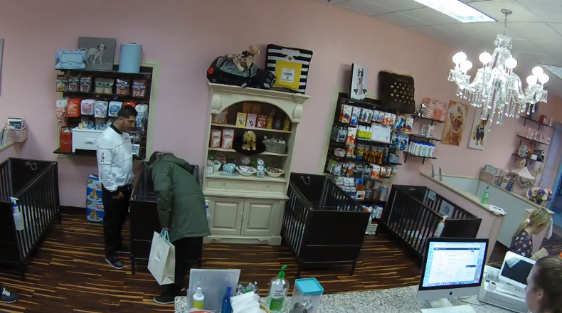 A pet store in Joliet is asking the public for help in identifying the men who allegedly stole a French bulldog puppy on Monday afternoon.