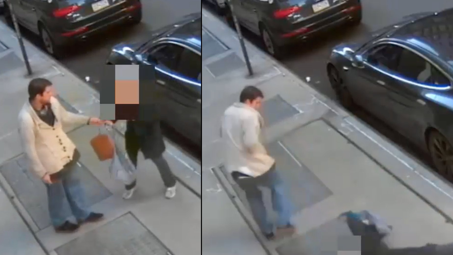 VIDEO: Woman, 76, knocked to ground by purse-snatcher in Tribeca