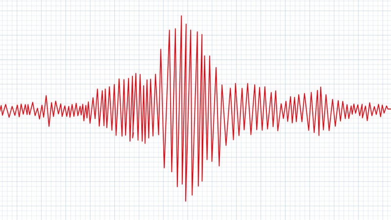 Seismic measurements with data record. Vector illustration in grid paper background