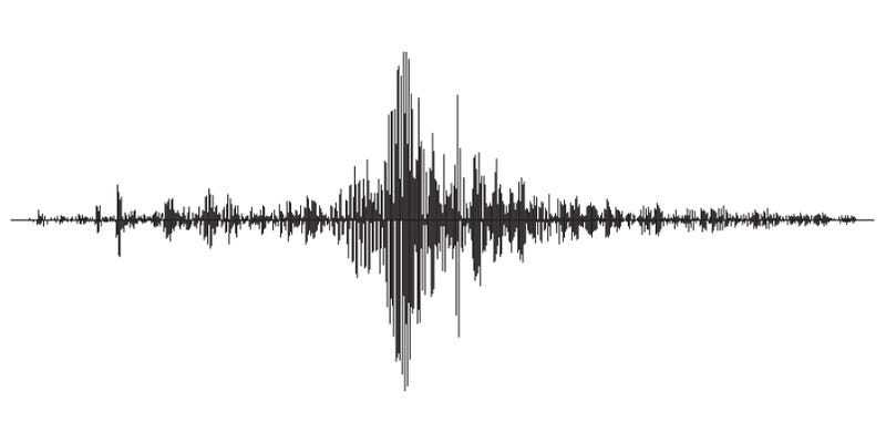 Seismograph activity record vector illustration