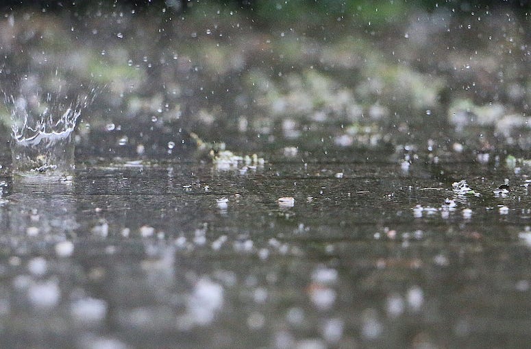 Rain