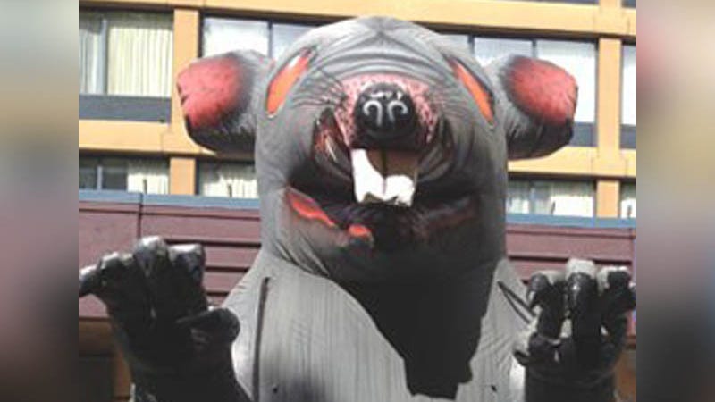 Scabby the Rat is back: NLRB rules in favor of allowing its use at labor protests