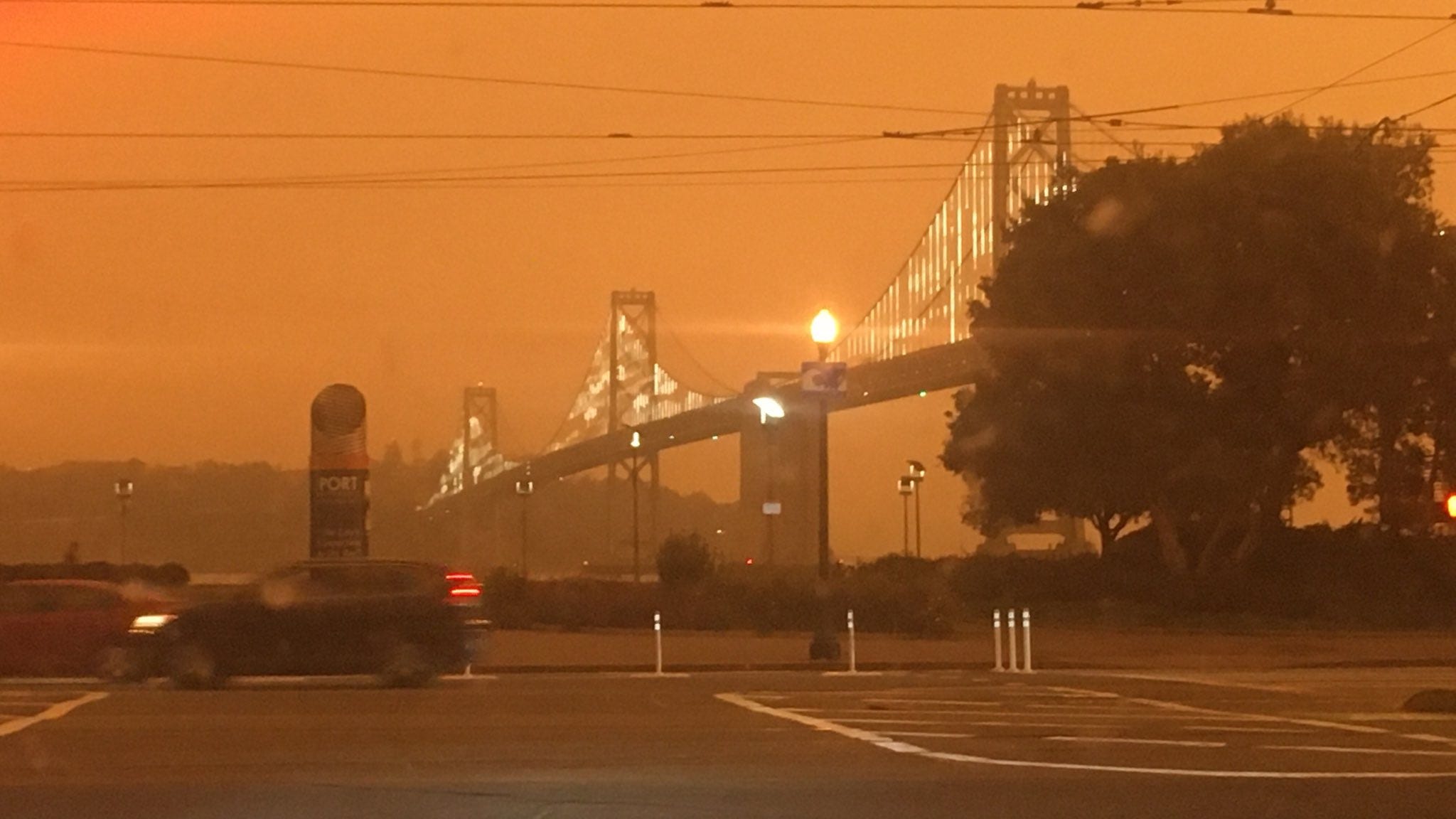 Wildfire smoke linked to eczema, skin irritation