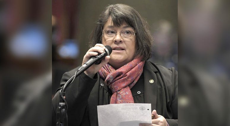 Missouri House of Representatives state Rep. Rebecca Roeber