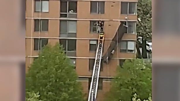VIDEO: FDNY rescues window washers dangling from collapsed scaffolding on Roosevelt Island