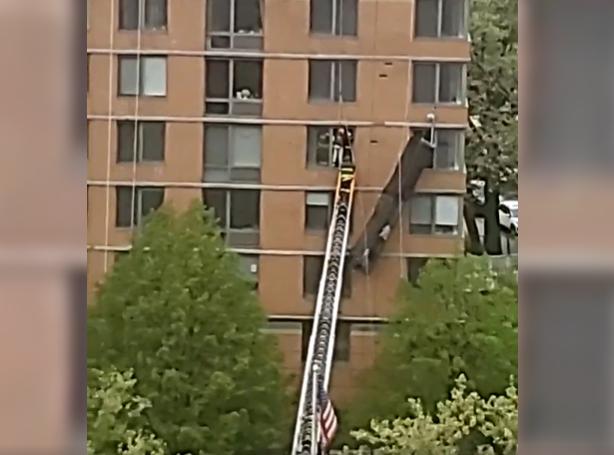 Video of the rescue posted on Citizen App.