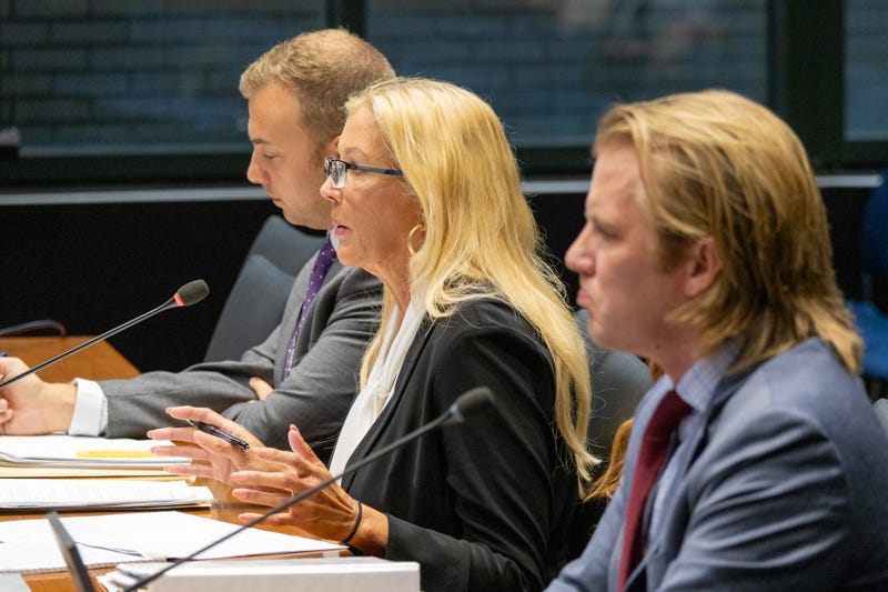 Sen. Sue Rezin, R-Morris, speaking at a legislative hearing on data privacy on Sep. 19