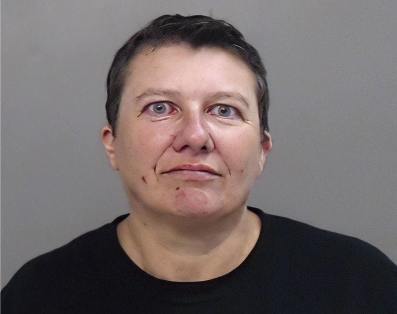 This photo provided by the Hidalgo County (Texas) Sheriff's Office, showing the booking photo of Pascale Ferrier. 