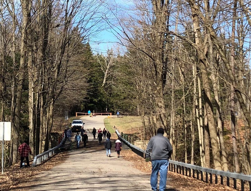 Walkers enjoying Chestnut Ridge