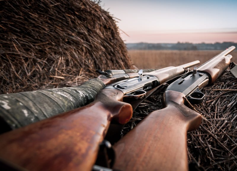 rifles