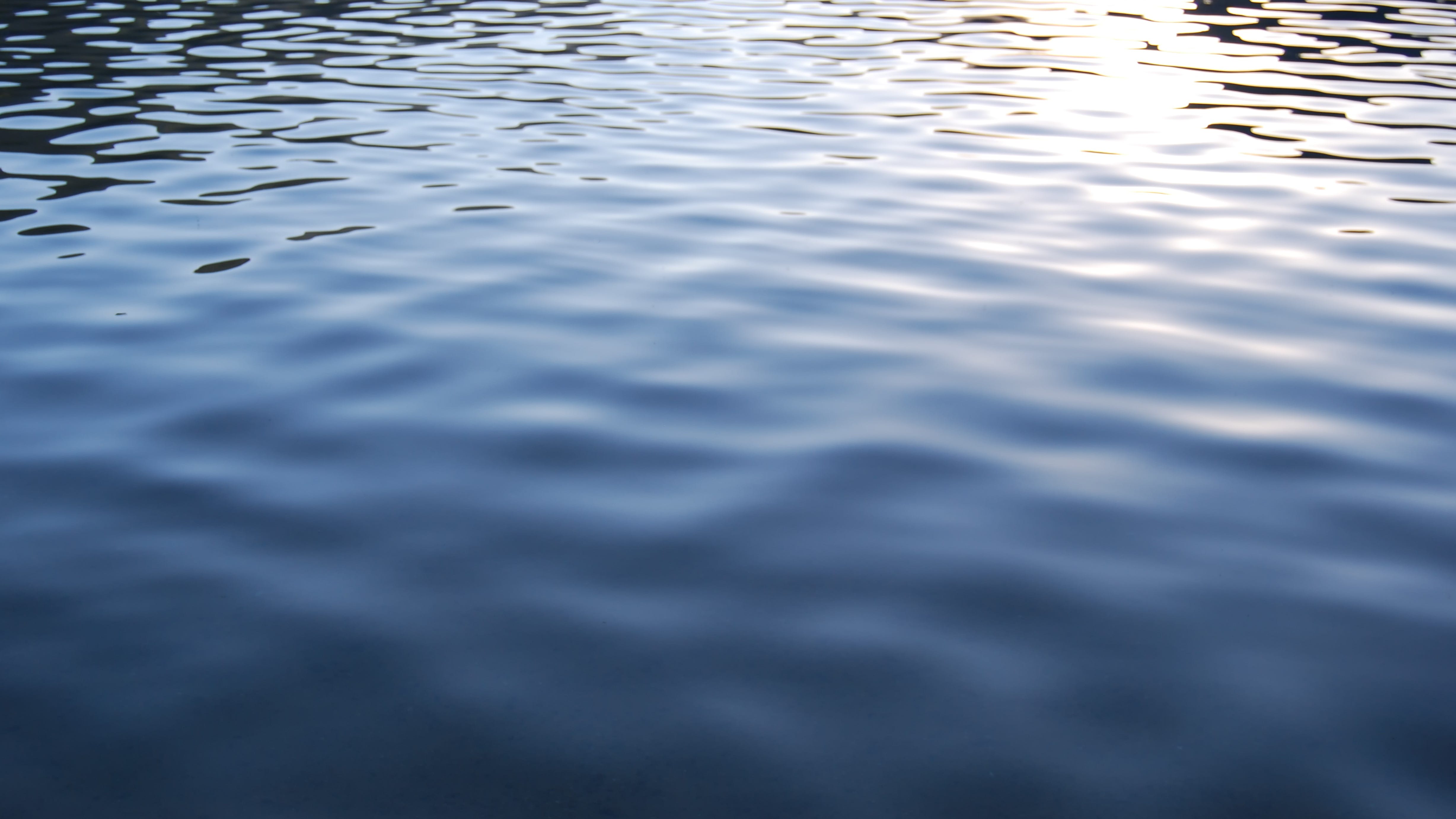 Body of 63-year-old man pulled from Chicago River's North Branch