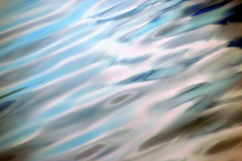 rippling surface of water