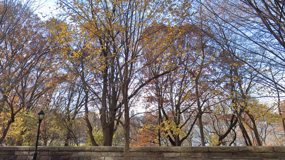Man stabbed in neck in Riverside Park on Upper West Side