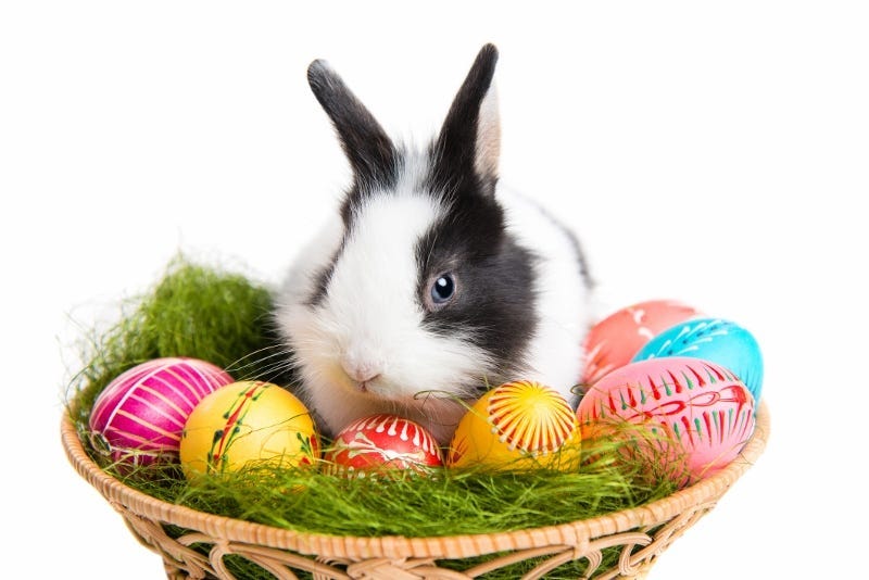 Easter Bunny