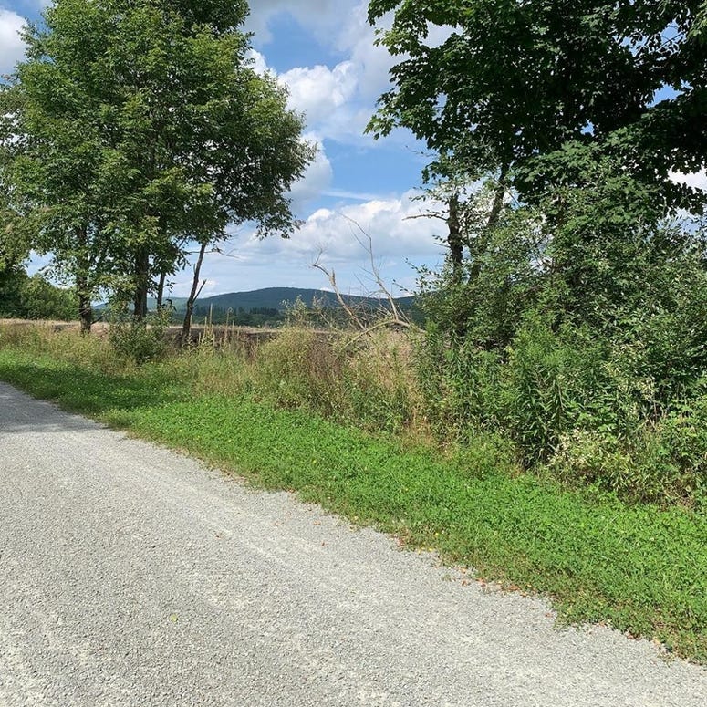 Trail