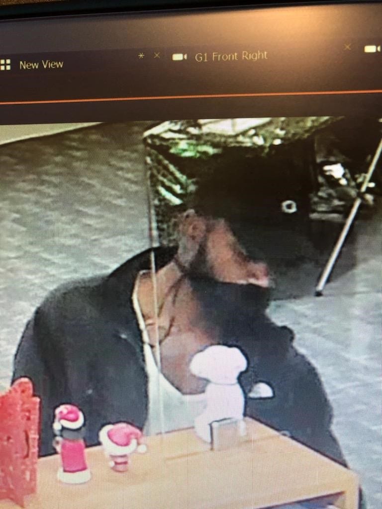 Search on for bank robbery suspect