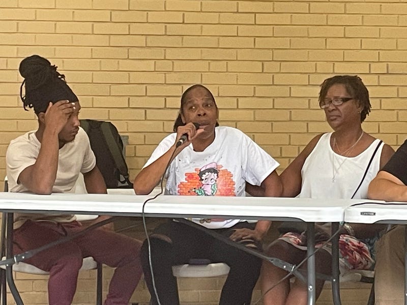 Buffalo shooting spree