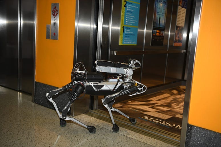 Robot_Dog
