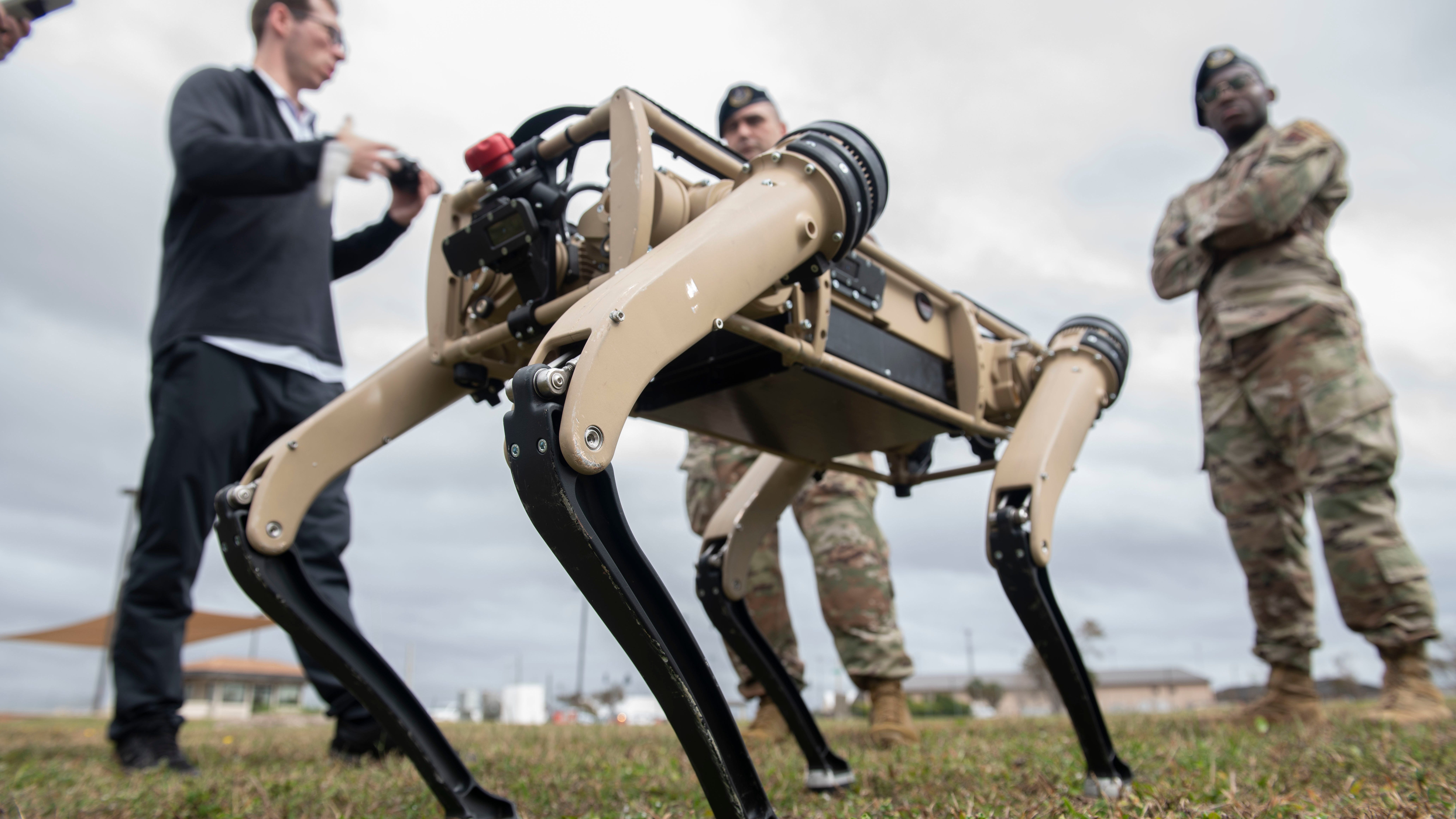 Robotic dogs to go on guard duty at Tyndall AFB
