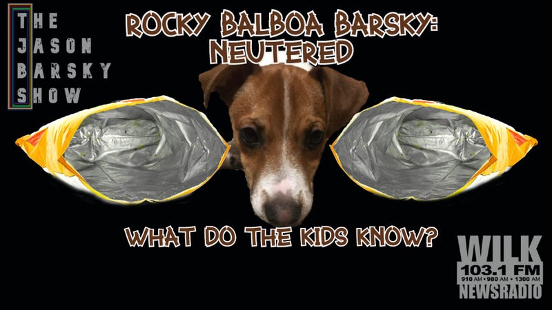 Rocky Balboa Barsky Got Fixed