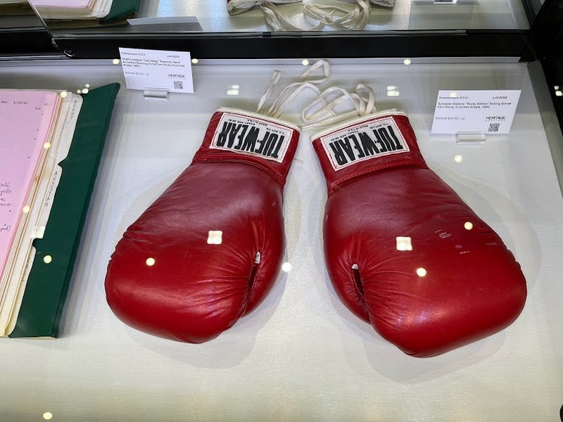 Rocky gloves
