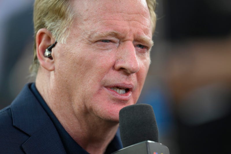 NFL Commissioner Roger Goodell addressed the lawsuit filed against the league during an ESPN interview Wednesday. Bills owner Terry Pegula is mentioned in the suit, which claims discrimination.