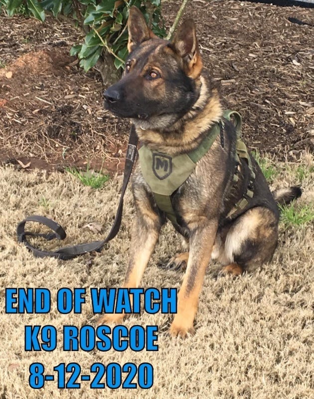 K9 Deputy Roscoe