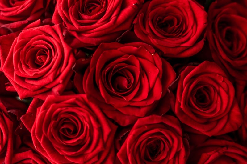 roses