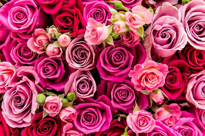 Valentine's Contry Love Songs