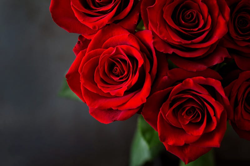 roses