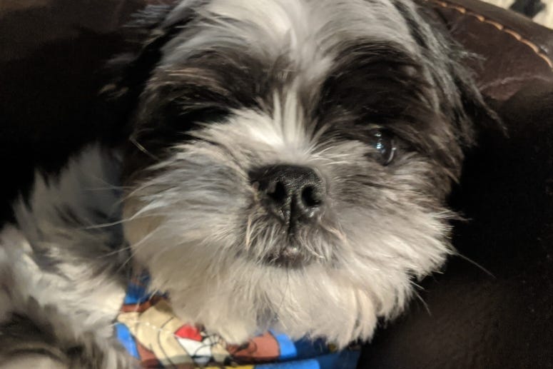 Rudy chilling