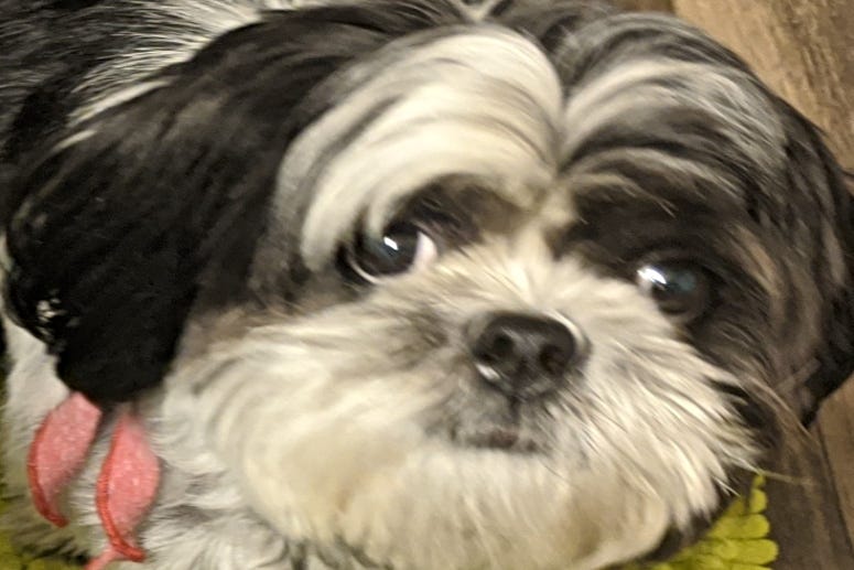 Rudy Roo