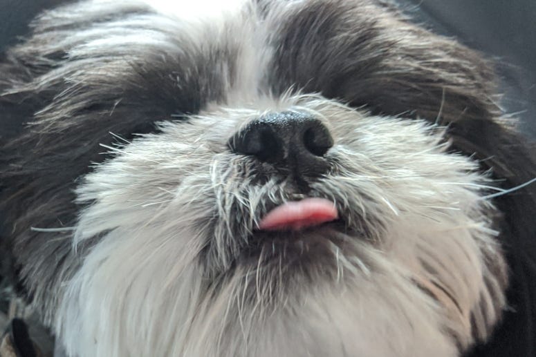Rudy's tongue