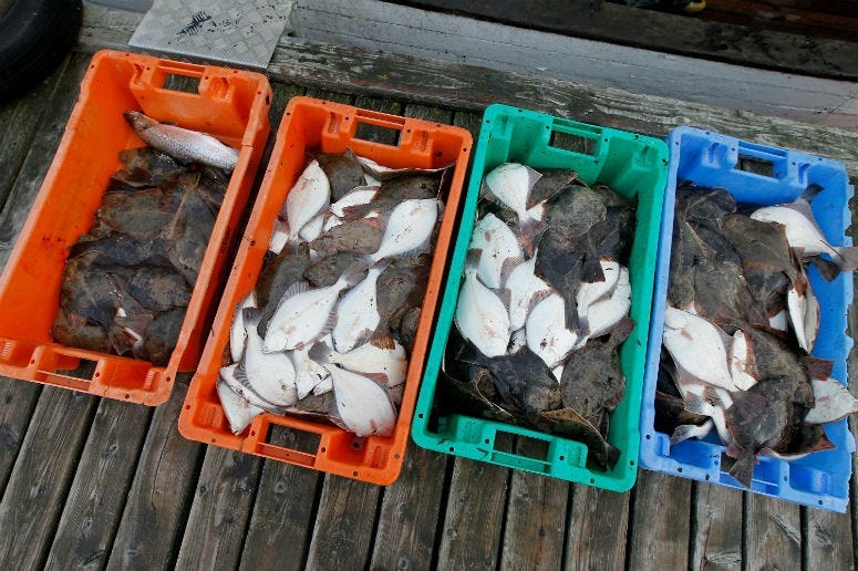 The global fishing fleet has more than doubled since 1950, but it's not because the fishing has gotten easier.