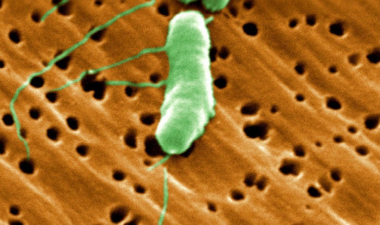 Climate change may lead to unlikely illnesses in unexpected places, new research suggests.