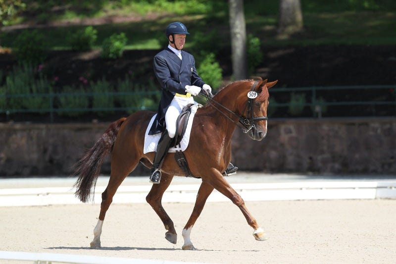 Michael Barisone, former dressage Olympian, has been charged with attempted murder.