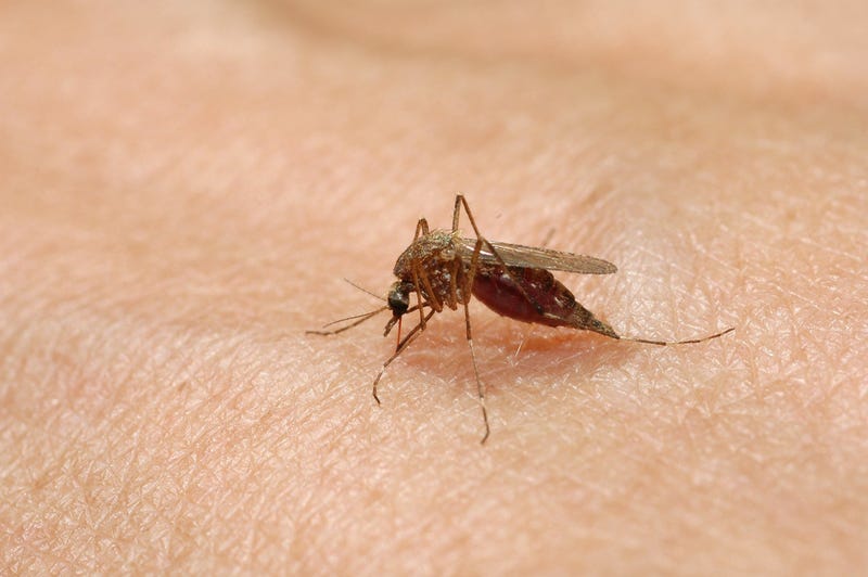 A ninth person has died from Eastern equine encephalitis (EEE), a rare mosquito-borne illness.