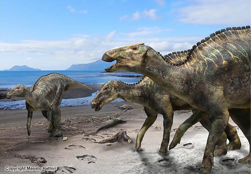 Researchers have found a nearly complete skeleton of a new dinosaur.