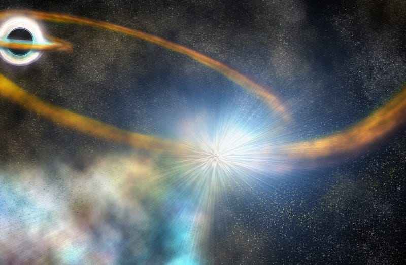 Since NASA's TESS satellite launched in April 2018, it's been identifying exoplanets and carrying on the planet-hunter legacy of the concluded Kepler mission.