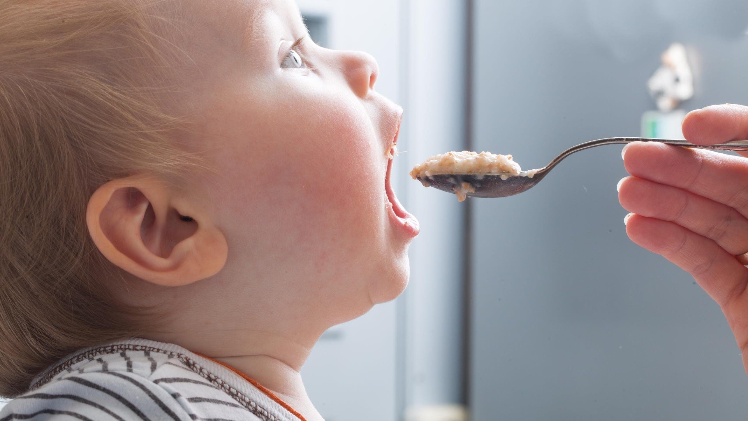 95% of tested baby foods in the US contain toxic metals, report says