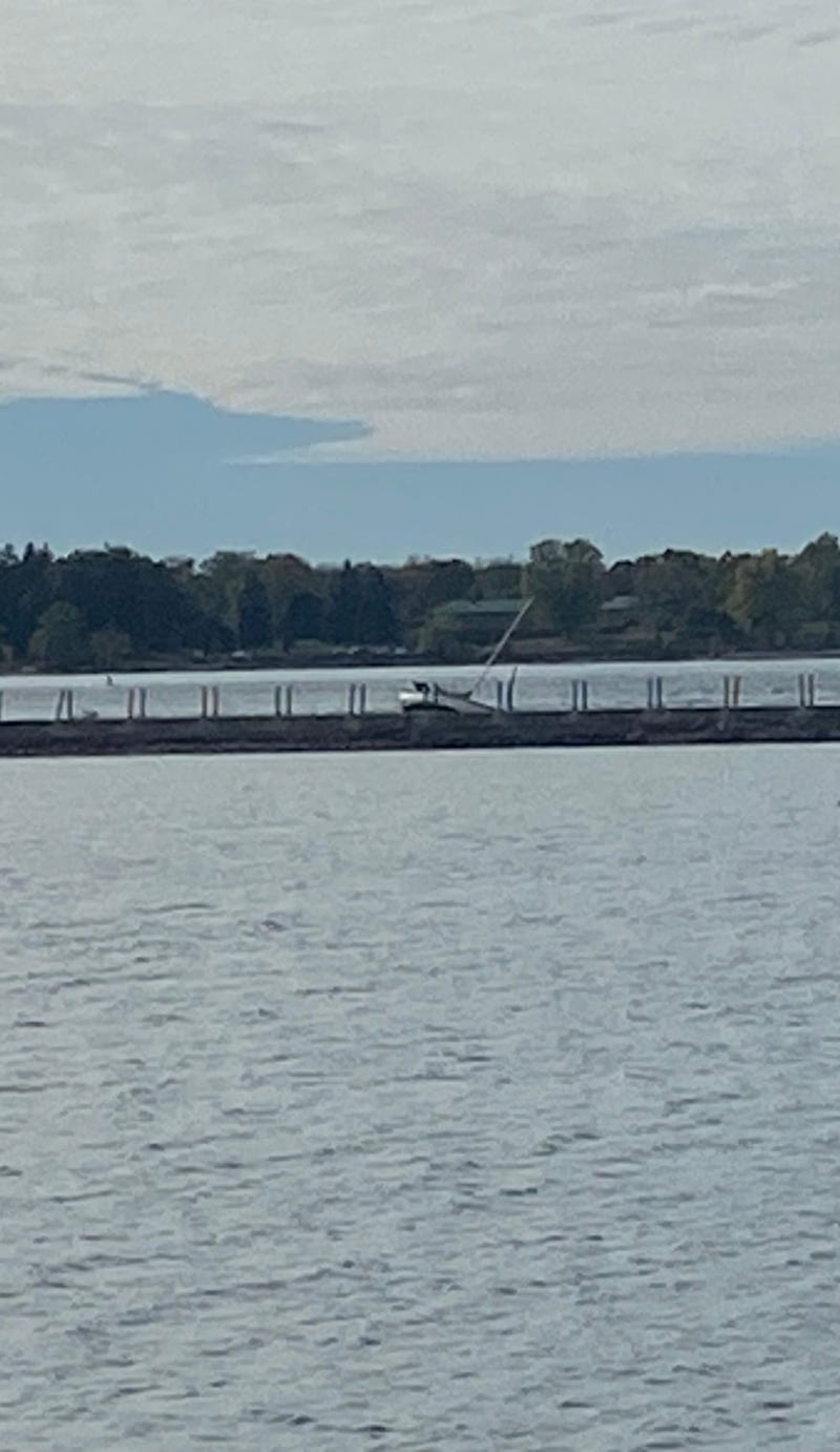 Two people were rescued Wednesday afternoon after their boat took on water along the Niagara River near the Peace Bridge.