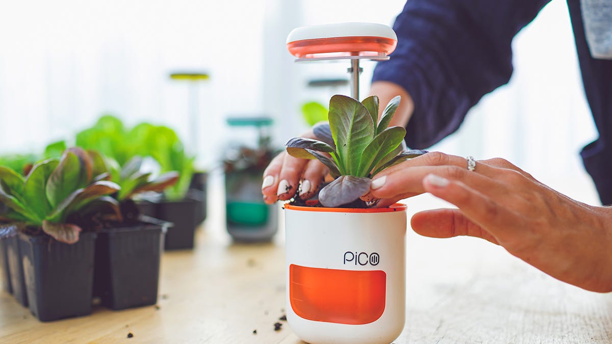 Exercise your green thumb with this compact planter herb garden