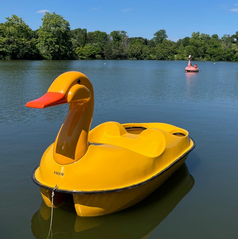 Things are getting ducky at Hoyt Lake along Delaware Park, as the flamingo boats are joined by a duck named Salem. The Buffalo Maritime Center says there is special meaning to the duck and its name. 