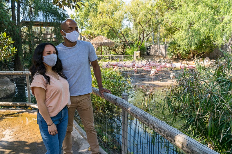 San Diego Zoo Safari Park visitors