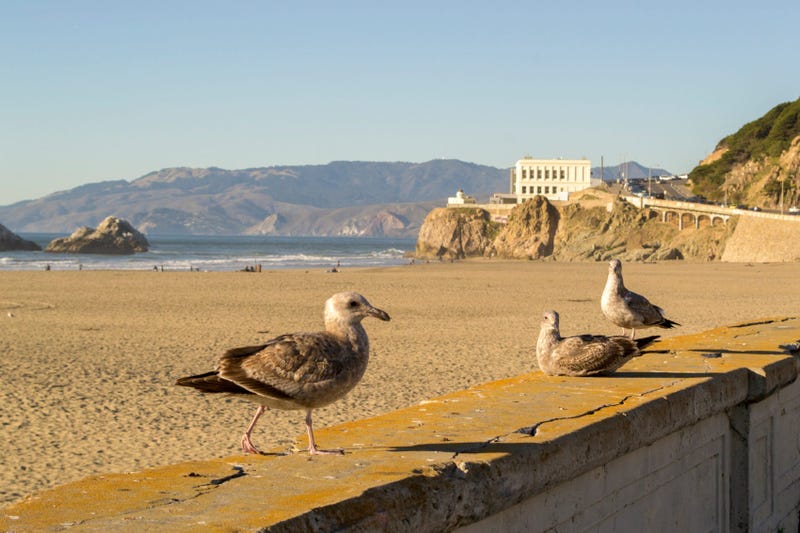 The Cliff House overlooks Ocean Beach in San Francisco. 