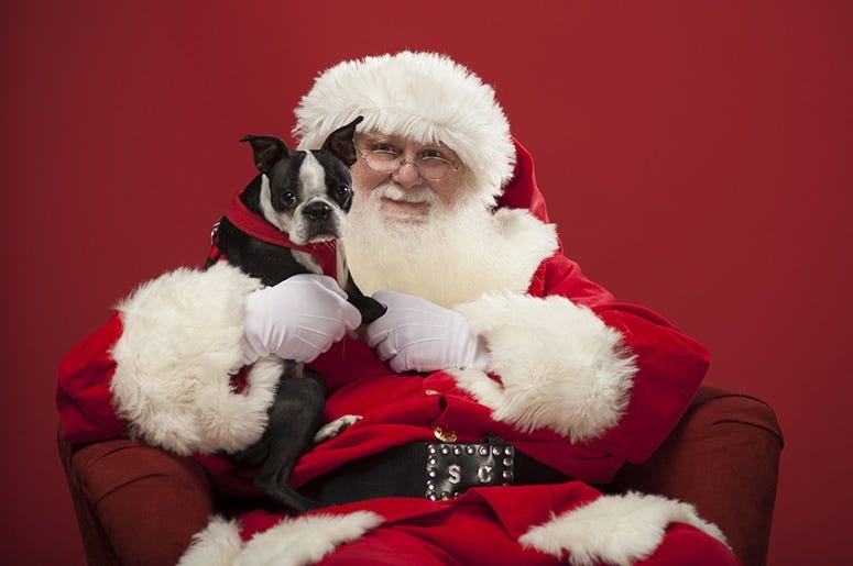 Santa and a dog