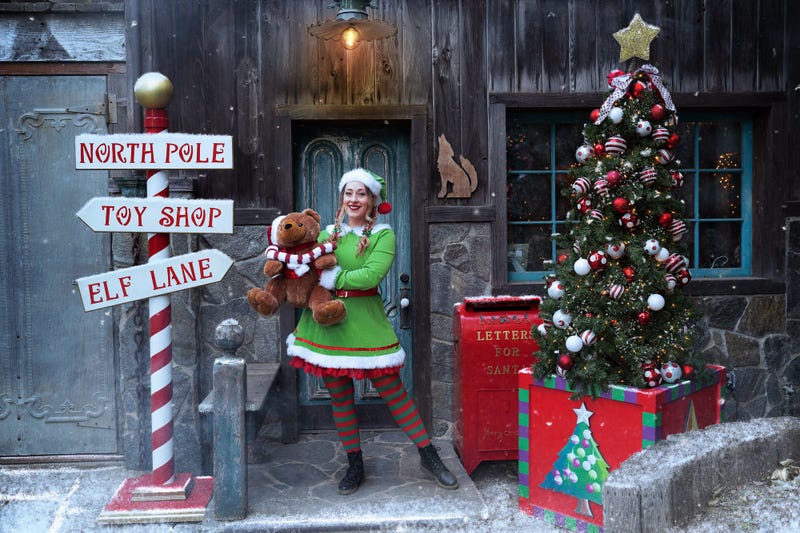 Santa the experience